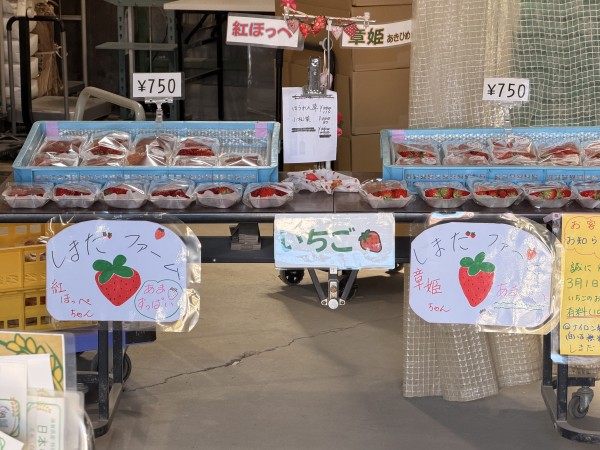 有限会社しまだファーム