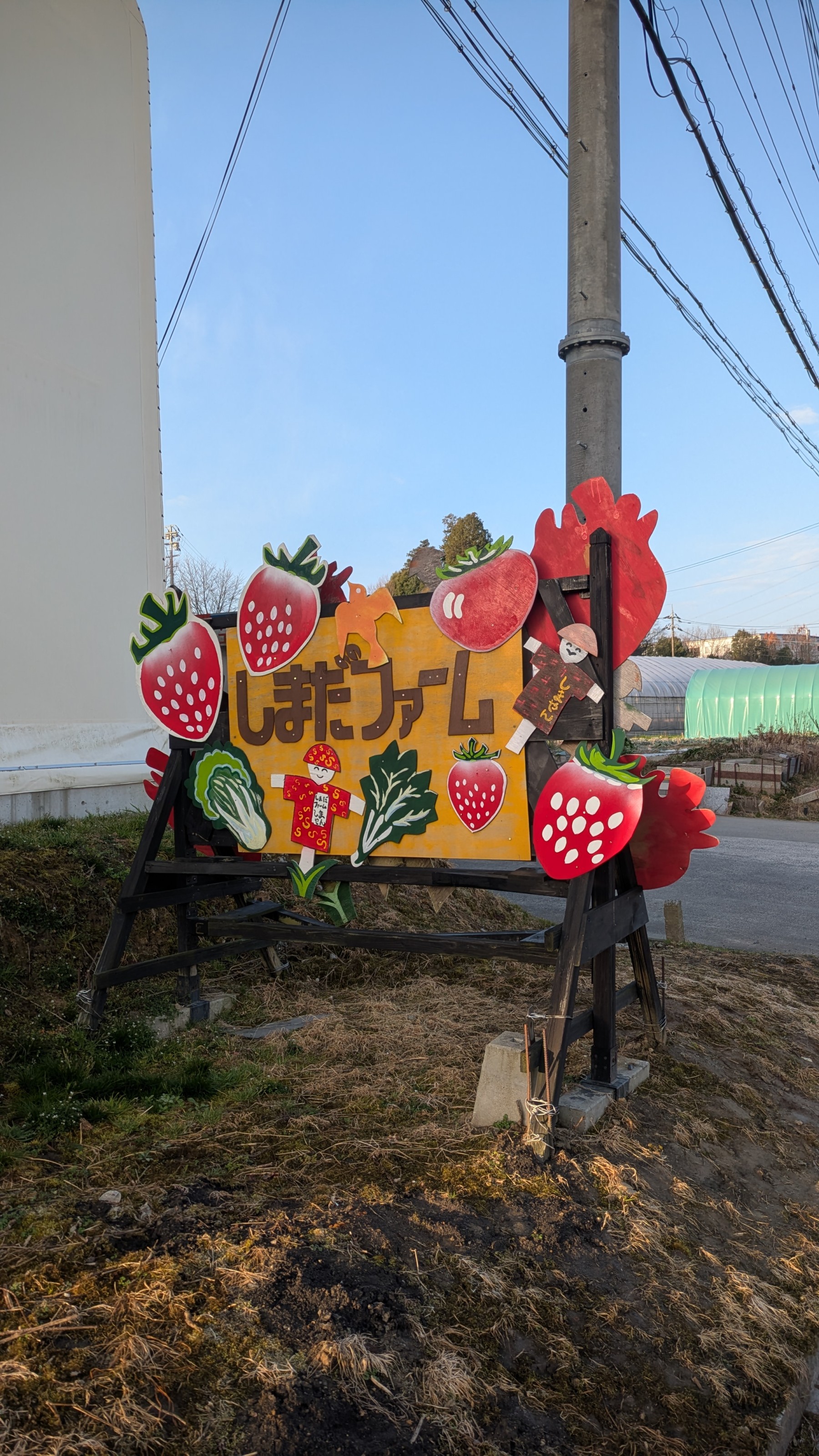 有限会社しまだファーム