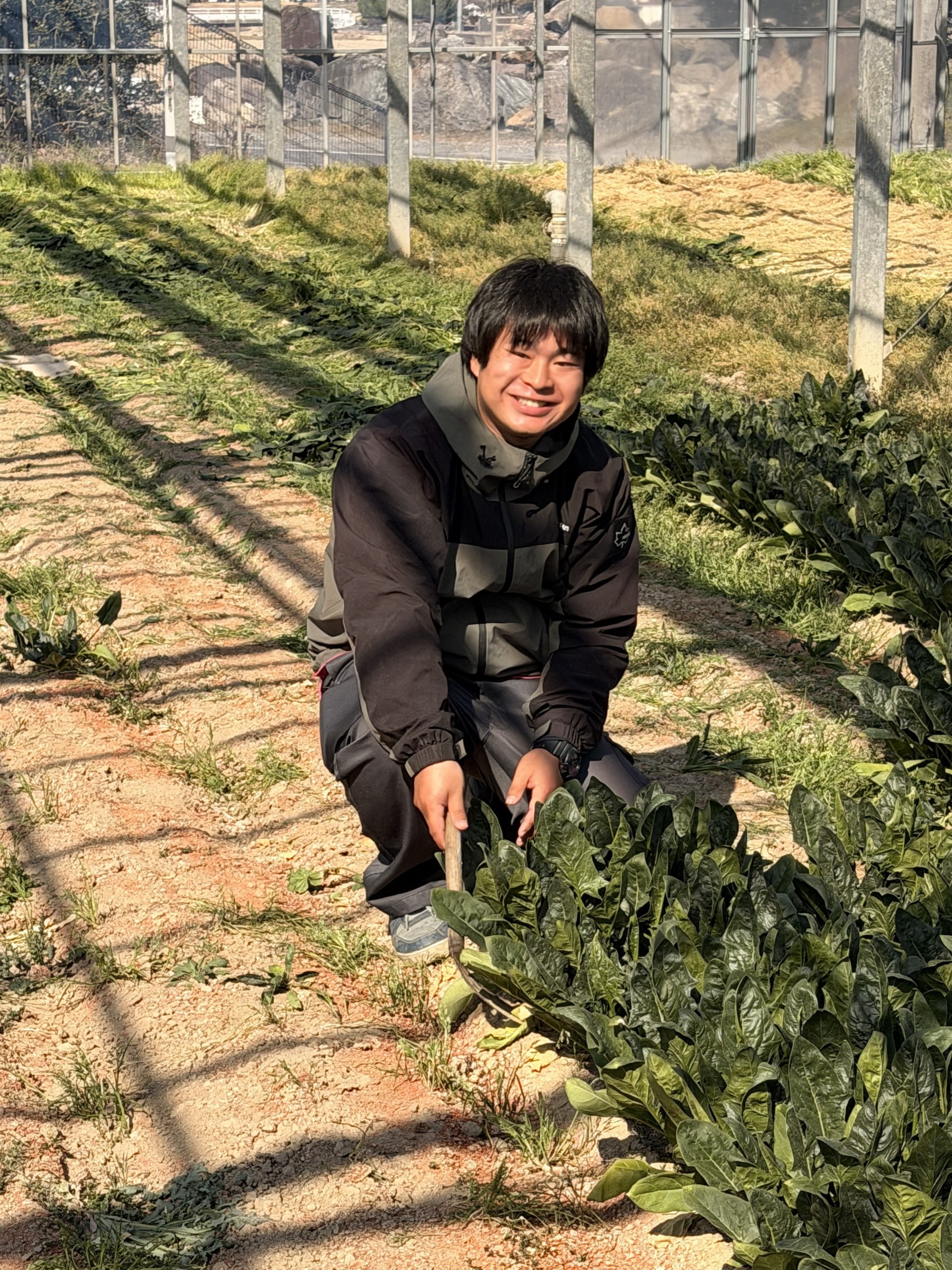 有限会社しまだファーム
